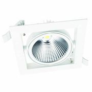 Светильник LED DL30 30W WH TEK