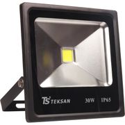Projektor LED TS030 30W HAIGER