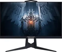 Монитор Gigabyte Aorus 25" FI2