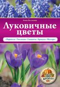 Луковичные_цветы_|_Анна_Беляко