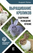 Выращивание кроликов. Содержан