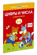 Цифры и числа (5-6 лет) | Земц