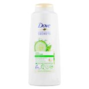 Шампунь Dove Cool Moisture USA