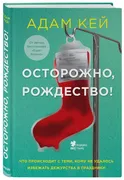 Осторожно,_Рождество!_Что_прои