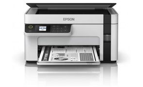 Printer EPSON M2120