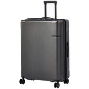 Чемоданы Samsonite DC0 89 006