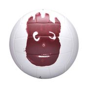 Волейбольный мяч Wilson WTH461