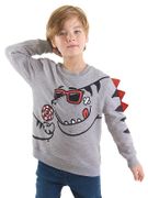 Tolstovka "Dino" Denokids CFF-