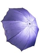 Складной женский зонт ZNT20, Ф