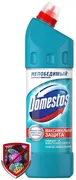 Универсальный гель Domestos Дв