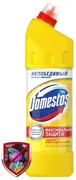 Универсальный_гель_Domestos_Ли