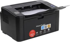 Printer Pantum P2207, Qora