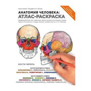 Inson anatomiyasi: Atlas | Els