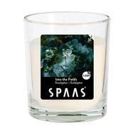 Свеча ароматическая SPAAS Glas