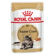 Royal Canin Main Coon nam yem,