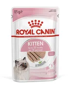 Nam yem Royal Canin kitten loa