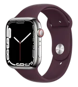 Часы_Apple_Watch_Series_7,_Sil