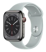 Часы_Apple_Watch_Series_8,_Gra