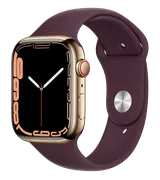 Часы Apple Watch Series 7, Gol