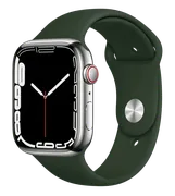 Часы_Apple_Watch_Series_7,_Sil