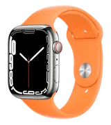 Часы_Apple_Watch_Series_7,_Sil