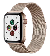 Часы Apple Watch Series 5 Stai