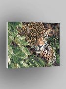 Картина по номерам "Леопард на