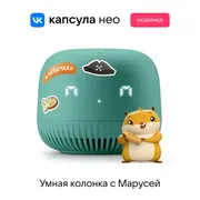 Умная колонка Капсула VK Марус