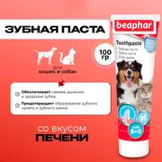 Зубная паста Beaphar для кошек