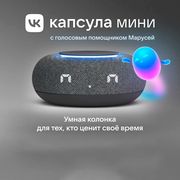 Умная_колонка_VK_Капсула_мини_