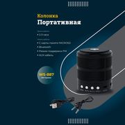 Беспроводная_колонка_Wster_Min