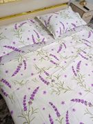 Linens 10901 bir yarimtalik ch