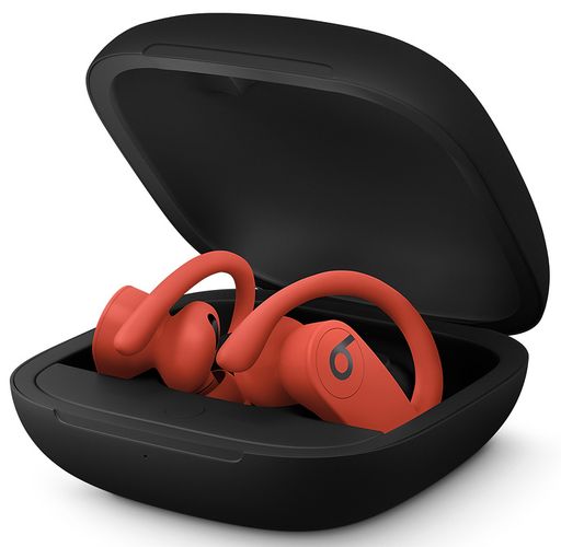Наушники Powerbeats Pro Totally Wireless Earphones, фото № 10