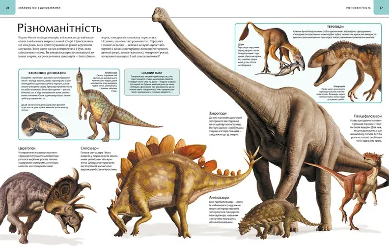 Dinozavrlar. Tasvirli atlas, sotib olish