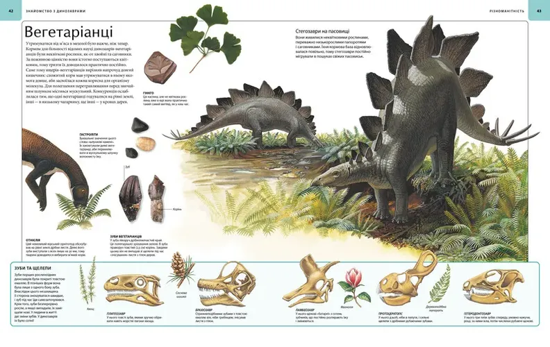 Dinozavrlar. Tasvirli atlas, 27100000 UZS