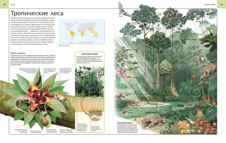 Земля. Иллюстрированный атлас, фото
