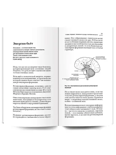 Красная таблетка-2. Вся правда об успехе / Серия "Академия смысла" книга Андрея Курпатова | Курпатов Андрей Владимирович, фото