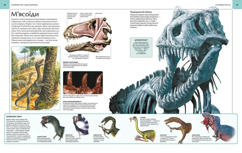 Dinozavrlar. Tasvirli atlas, фото