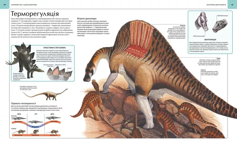 Dinozavrlar. Tasvirli atlas, купить недорого