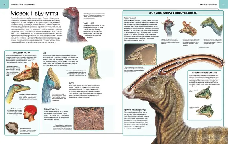 Dinozavrlar. Tasvirli atlas, в Узбекистане