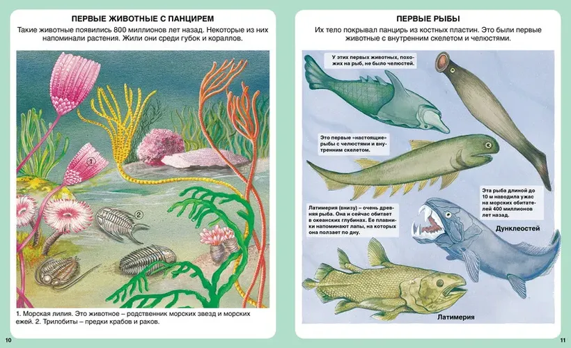 Тайны моря | Бомон Эмили, купить недорого