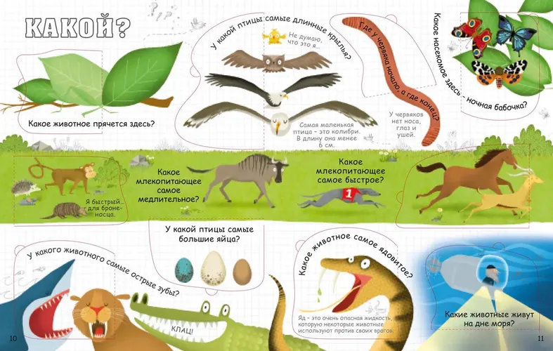 Вопросы и ответы о животных, купить недорого
