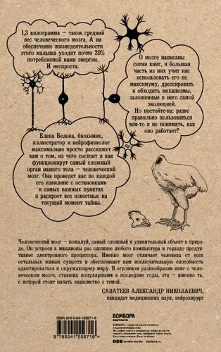 Автостопом по мозгу. Когда вся вселенная у тебя в голове | Белова Елена Михайловна, в Узбекистане