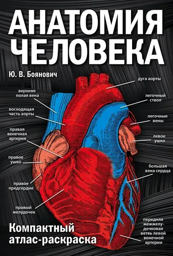 Анатомия человека: компактный атлас-раскраска | Боянович Юрий Владимирович, купить недорого