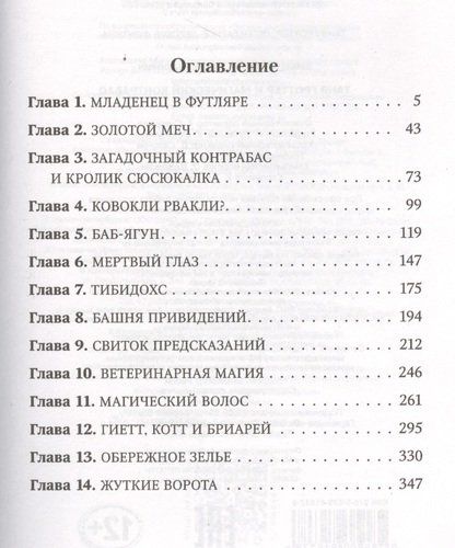 Таня Гроттер и магический контрабас | Дмитрий Емец, в Узбекистане