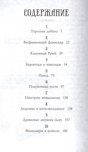 Фамильяры. Книга 1. Трое против ведьмы | Эпштейн Адам Джей, фото