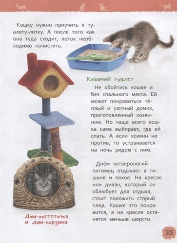 Кошки и котята. Энциклопедия для детского сада | Мигунова Елена Яковлевна, в Узбекистане