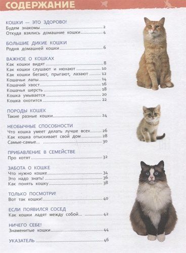 Кошки и котята. Энциклопедия для детского сада | Мигунова Елена Яковлевна, купить недорого