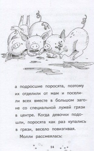 Juda kamtarona cho‘chqa bolasi: qissa | Xolli Vebb, sotib olish