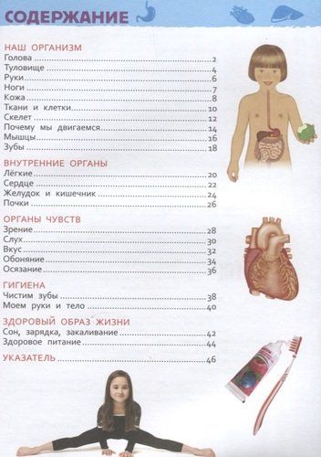 Тело человека. Энциклопедия для детского сада | Клюшник Л. В., в Узбекистане